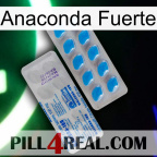 Anaconda Strong new15